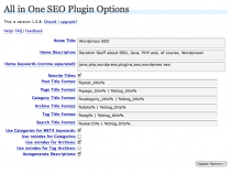 All In One Seo Pack Configuration Options