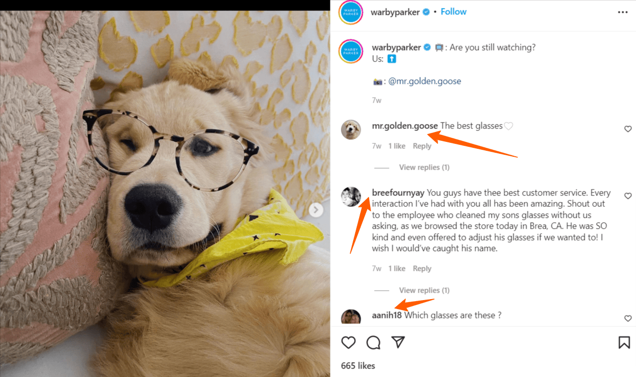 Cuenta de Instagram de Warby Parker