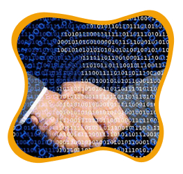 data-collection-online-auditing-selling-excel-spreadsheets