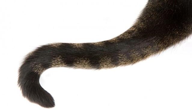 Partner Management Best Practices