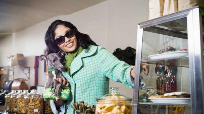 Ideias incomuns de negócios para animais de estimação