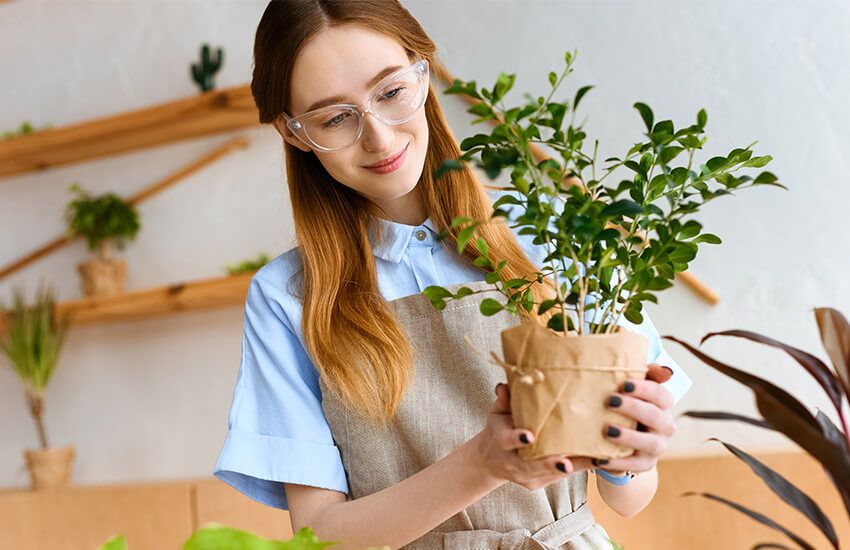 30 de idei de magazin distractive