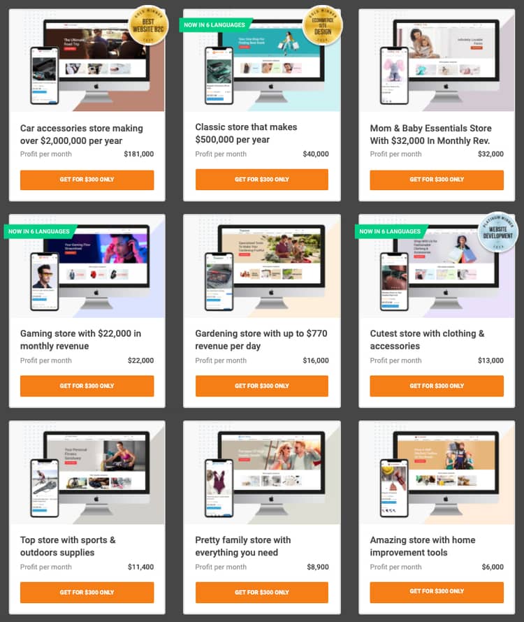 alidropship premium mağazaları