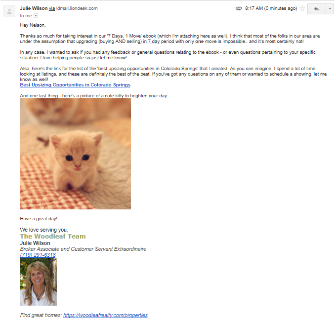 Nette Kitty-E-Mail
