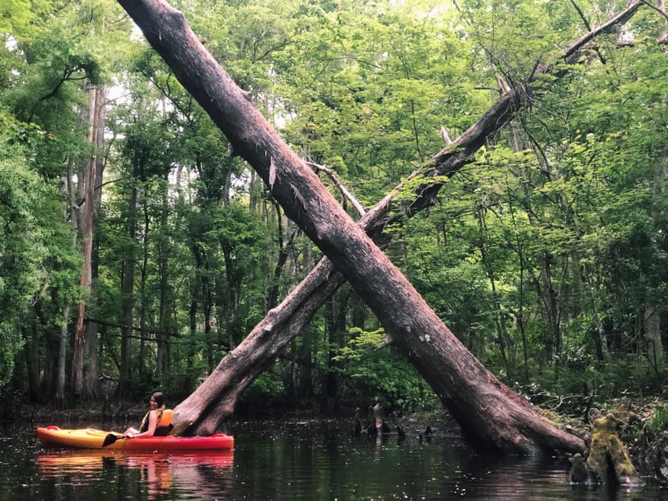 Sosyal medya pazarlamanızda yüksek çözünürlüklü görseller kullanma - Kayak