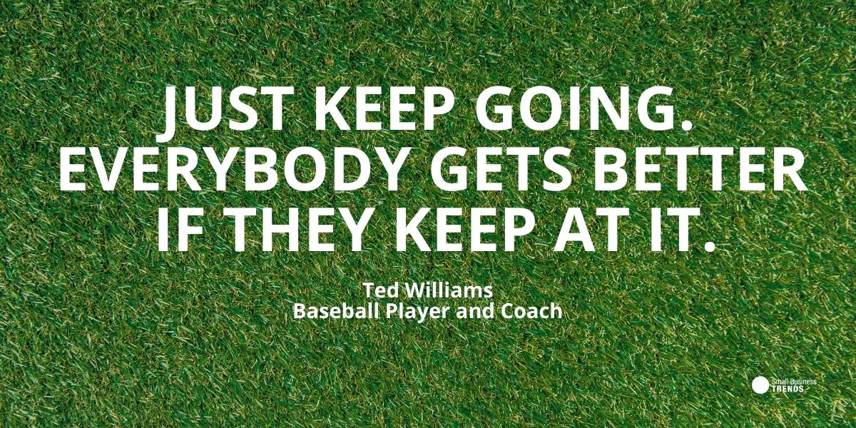 تيد ويليامز للبيسبول