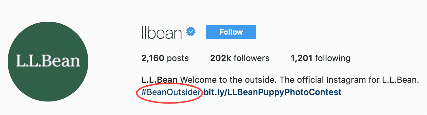 비즈니스를 위한 인스타그램 약력: L.L. Bean