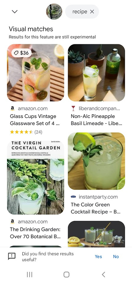 Google 다중 검색 및 레시피