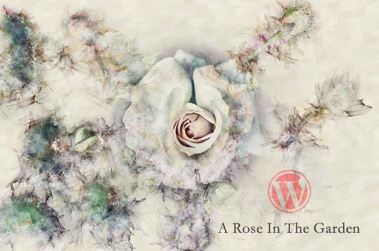 منصة ووردبريس