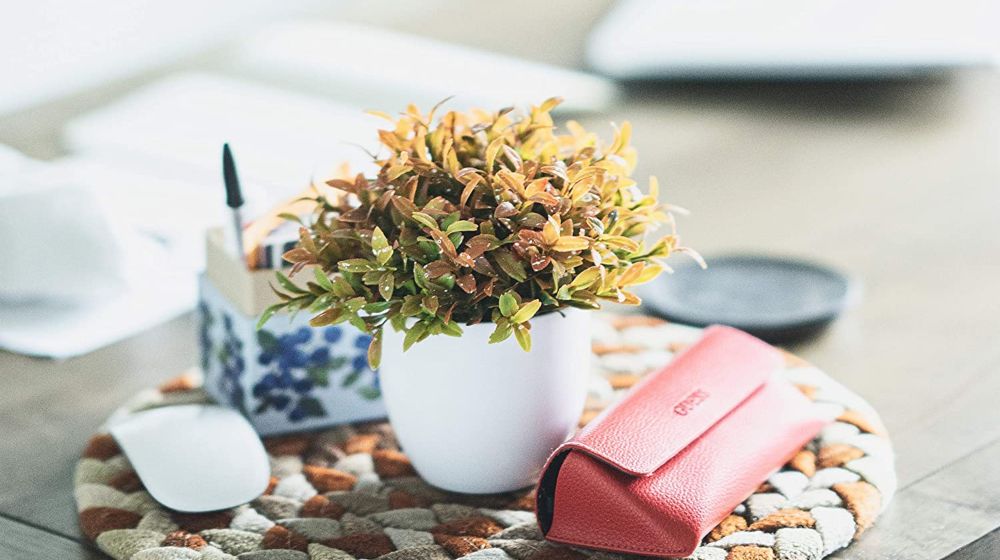 Plants+ Artificial Fake Faux Indoor House Desk Office for Decoration