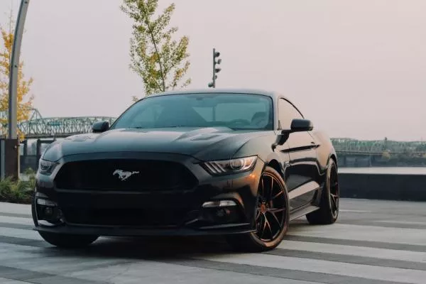 Mustang moderno negro cerca del árbol al atardecer