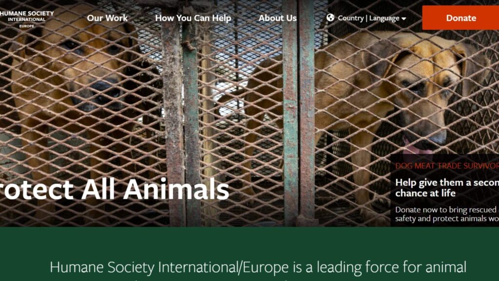 Rocznica Społeczeństwa Humanitarnego