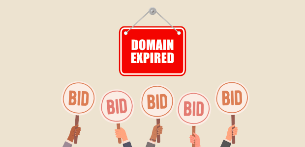 Where to Buy Expired Domains - 32 Best Places to Purchased Expired Domain