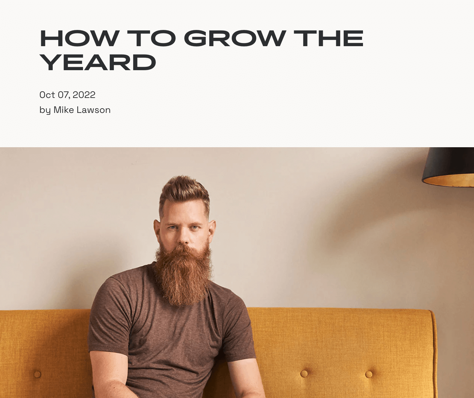 ユーザーを助けるために作成されたコンテンツの例