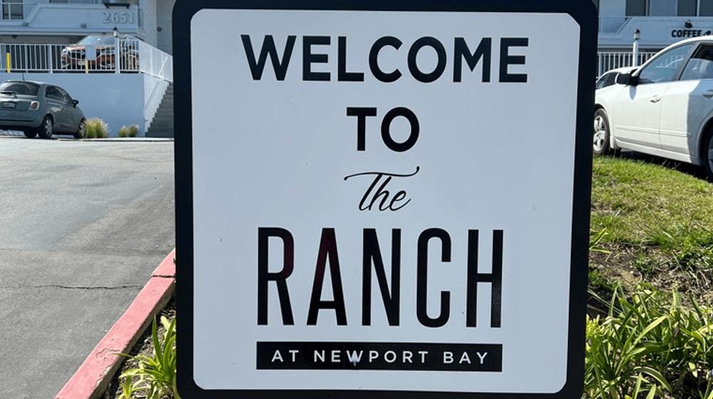 Üst Düzey İçki Mağazası