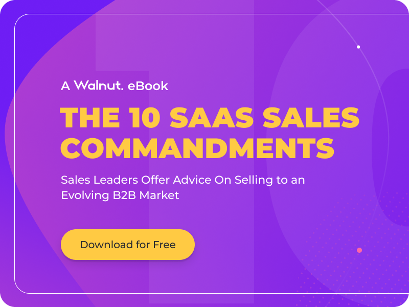 Cartea electronică Cele 10 porunci de vânzări SaaS