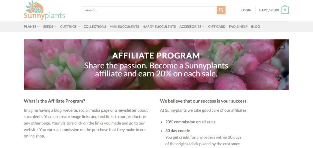 日当たりの良い植物