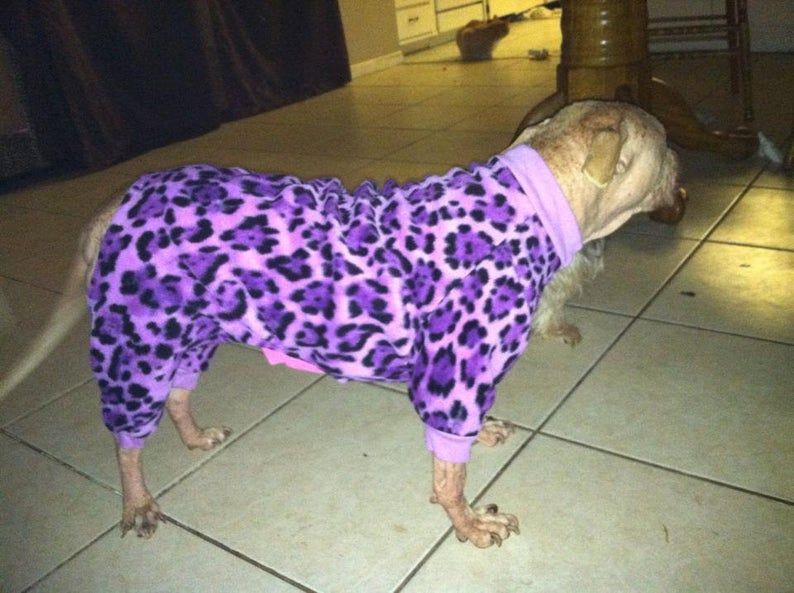 christysdigitalfiles