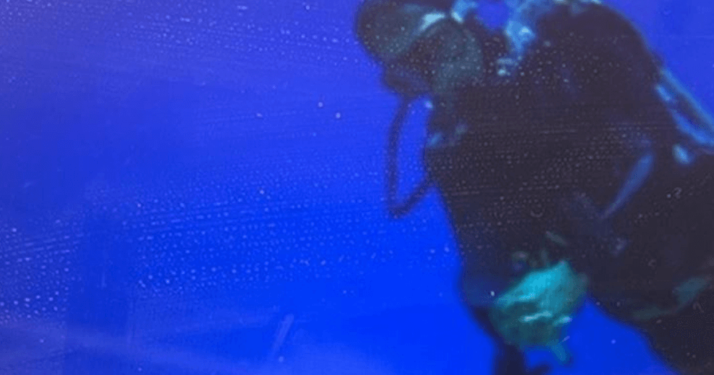 Центр подводного плавания BoatTour Business