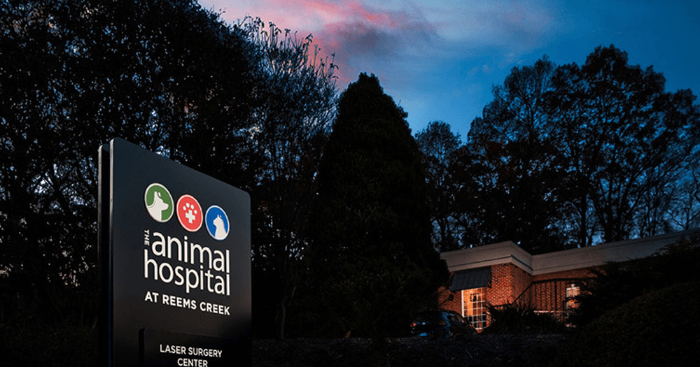 Основанный бизнес по производству вывесок