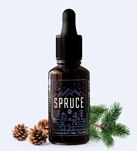 Spruce Cat CBD Oil - cel mai bun ulei de CBD pentru pisici