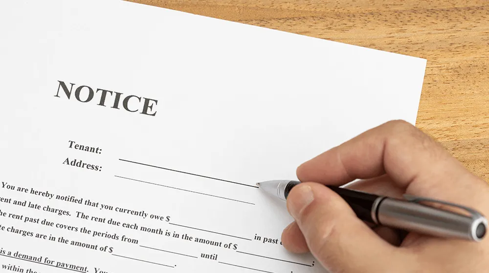 컬렉션 편지 템플릿