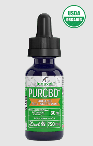 Innowacyjny olejek CBD