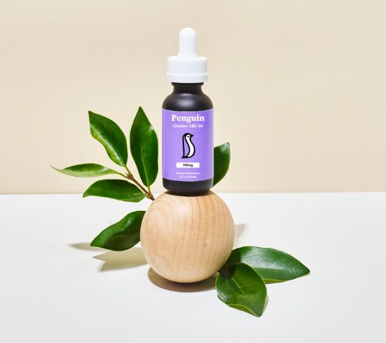 Olej CBD dla psów pingwinów
