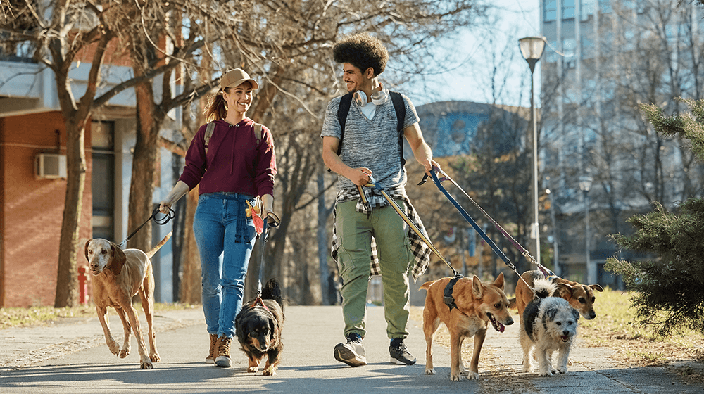 Low-Cost-Unternehmen zu starten