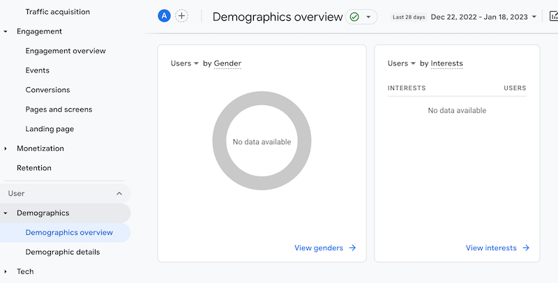 Google Analytics demografisi