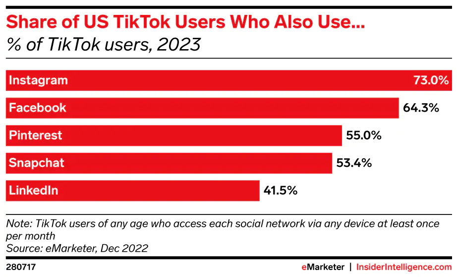 Gráfico de participação de usuários do TikTok 2023