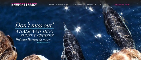 Newport Legacy Cruises - location de yacht à newport