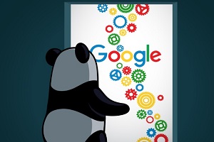 conceptul de actualizare google panda