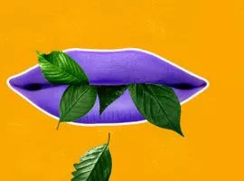 緑の葉をむしゃむしゃ食べる紫色の唇のイラスト。グリーンウォッシングを表したり、企業の環境への取り組みを誤って伝えたりしています。