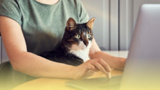 リードを得るためにあなたのソーシャルメディアビデオで避けるべき3つの間違い