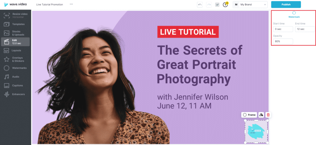 Изменить настройки водяного знака на Wave.video
