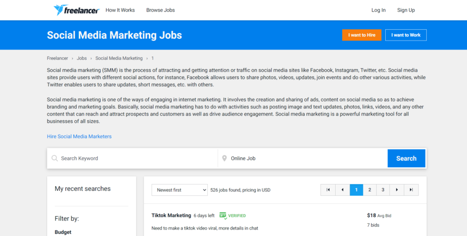 freelance social media manager - libero professionista