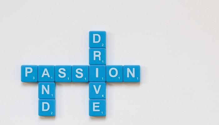 wordpress 开发者市场质量