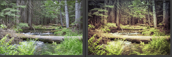 free-adobe-lightroom-presets-Trey's Tuesday Time Alone