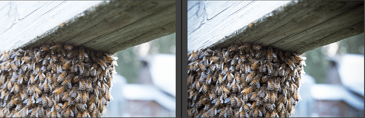 free-adobe-lightroom-presets-Wonderland Creative Catalyst 45 L4R