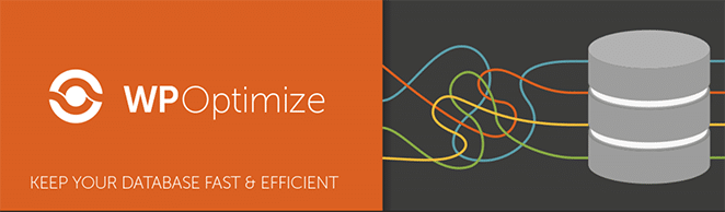 레이아웃 플라이휠 WordPress 플러그인 필수 사항 2018 wp 최적화 플러그인 로고