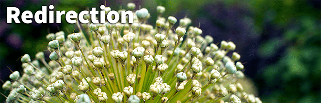 레이아웃 플라이휠 WordPress 플러그인 필수 사항 2018 리디렉션 플러그인