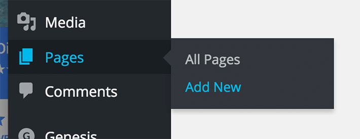 Responsive-google-map-wordpress-new-page