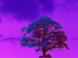 ピンクの空に映える青い木は、製造における持続可能性を表しています。