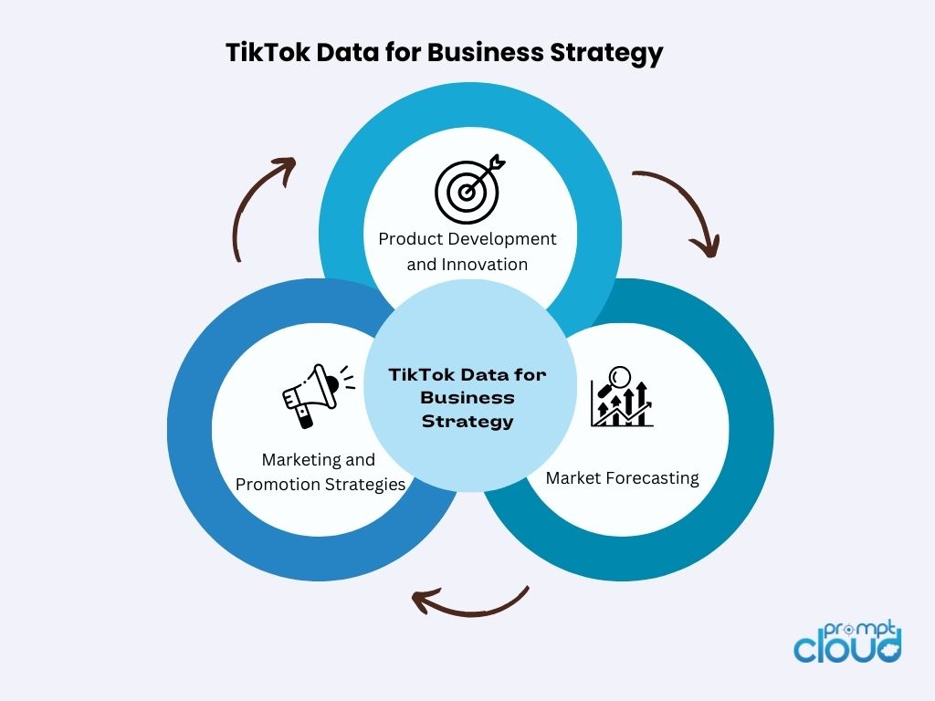 Aprovechamiento de los datos de TikTok para la estrategia empresarial