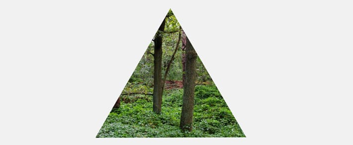 css-svg-отсечение-маскирующий-треугольник-пример