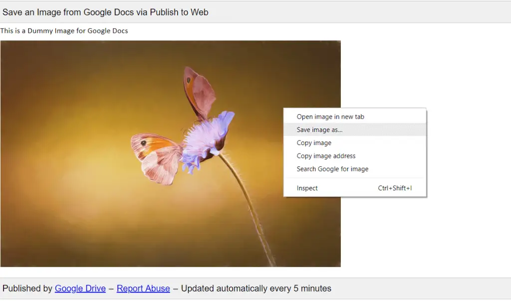 download image from google doc, how to save an image from google docs, save an image from google docs, save image from google doc