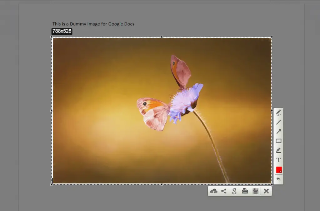 download image from google doc, how to save an image from google docs, save an image from google docs, save image from google doc