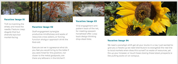 Captură de ecran a patru Flexbox-uri neuniforme pe un fundal de floarea-soarelui și fotografii de peisaj