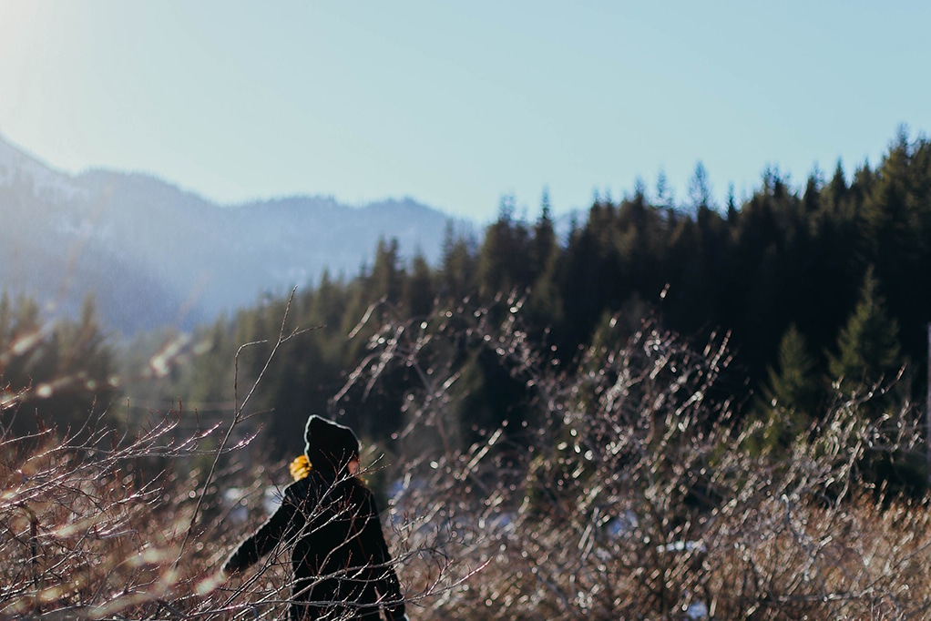 web-designer-quits-europe